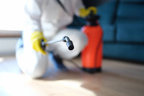 Trusted Cranston, RI Mold Removal Experts